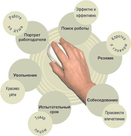 Ооо балт м ком вакансии